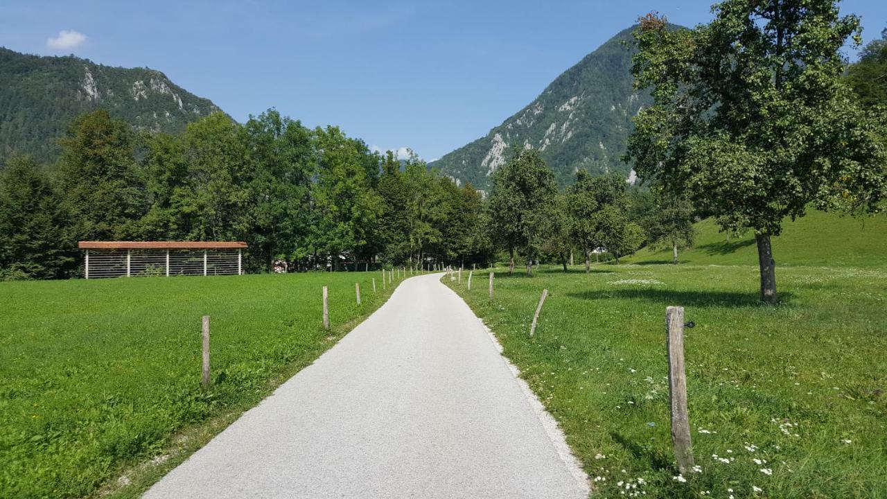 Rooms Mocilnik Begunje na Gorenjskem Kültér fotó