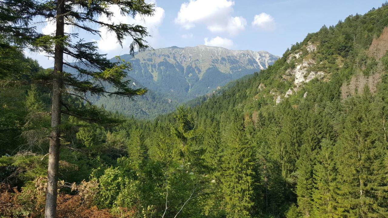 Rooms Mocilnik Begunje na Gorenjskem Kültér fotó